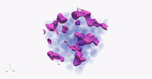 purple_lbm